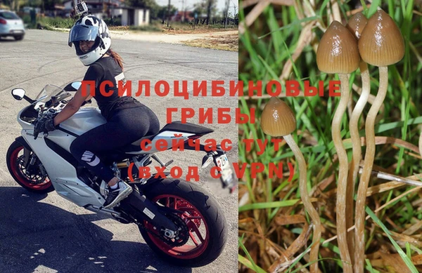 мет Арсеньев
