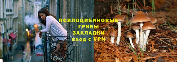 мет Арсеньев