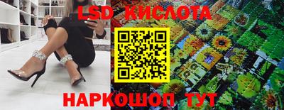 стафф Гай