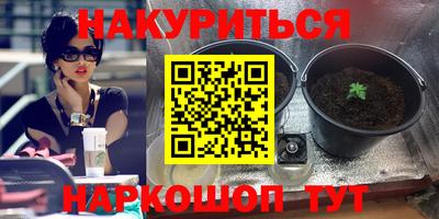 стафф Гай