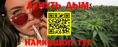 стафф Гай