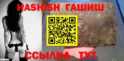 стафф Гай