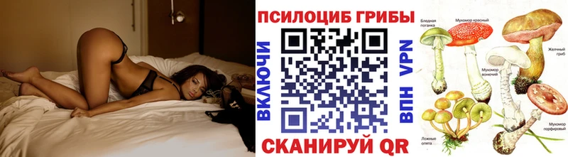mega   Междуреченск  Галлюциногенные грибы GOLDEN TEACHER  наркошоп 