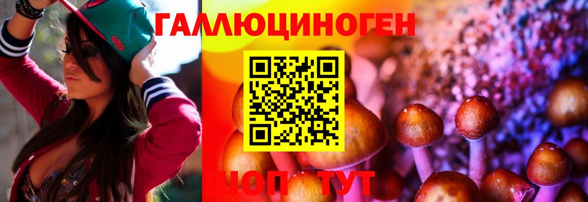 Междуреченск  Псилоцибиновые грибы MAGIC MUSHROOMS  Вход с VPN 